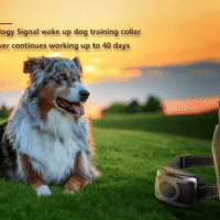 650 YD Remote Dog Training Shock Collar Waterproof for Small Medium - Image 3